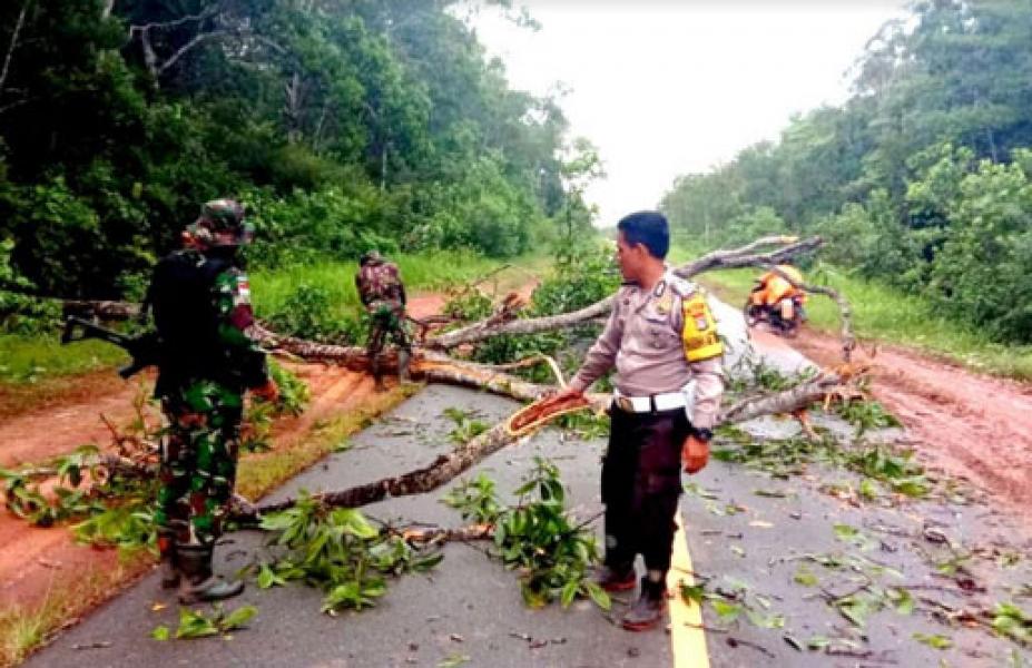 TNI-Polri dan Masyarakat Bersihkan Pohon Tumbang di Jalan Trans Papua