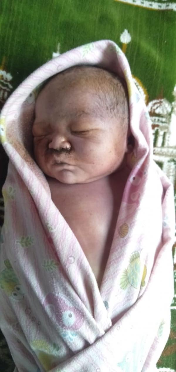 Warga Geger Temukan Bayi Pemulung Tewas Usai di Lahirkan di Kawasan Hutan Kota Pekanbaru