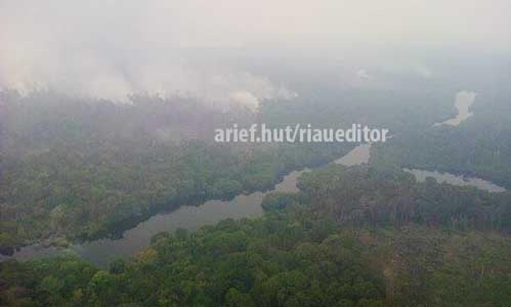 2 Heli Gagal Lakukan Bom Air di Cagar Biosfer GSK