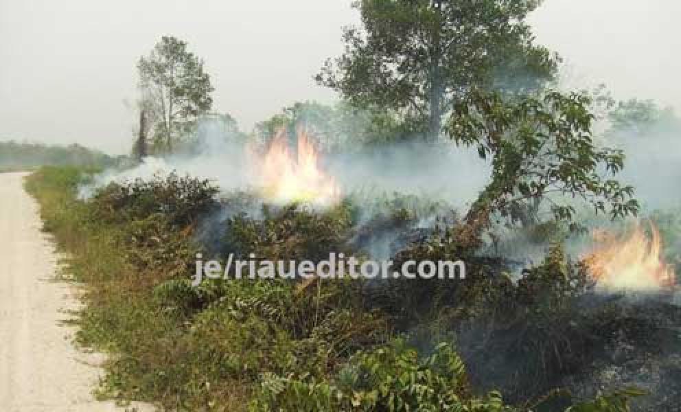 Atasi Kebakaran Lahan dengan Redamkardes  