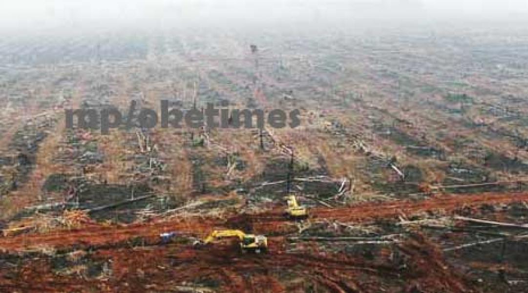 BMKG: Hotspot di Provinsi Riau Hari Ini Nol