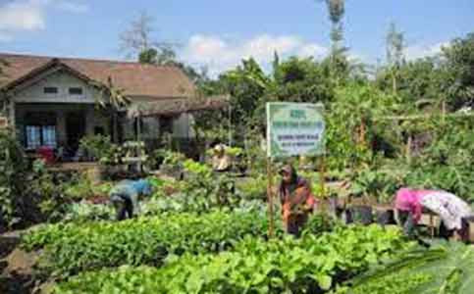 BP2KP Inhil Galakkan Kegiatan KRPL