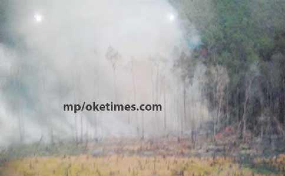  Cagar Biosfer Giam Siak-Bukit Batu Terancam Dicabut