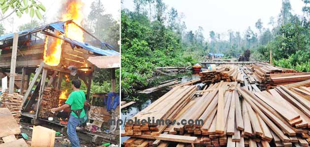 Barak Pembalak Liar di Cagar Biosfer Siak Dibakar Aparat TNI