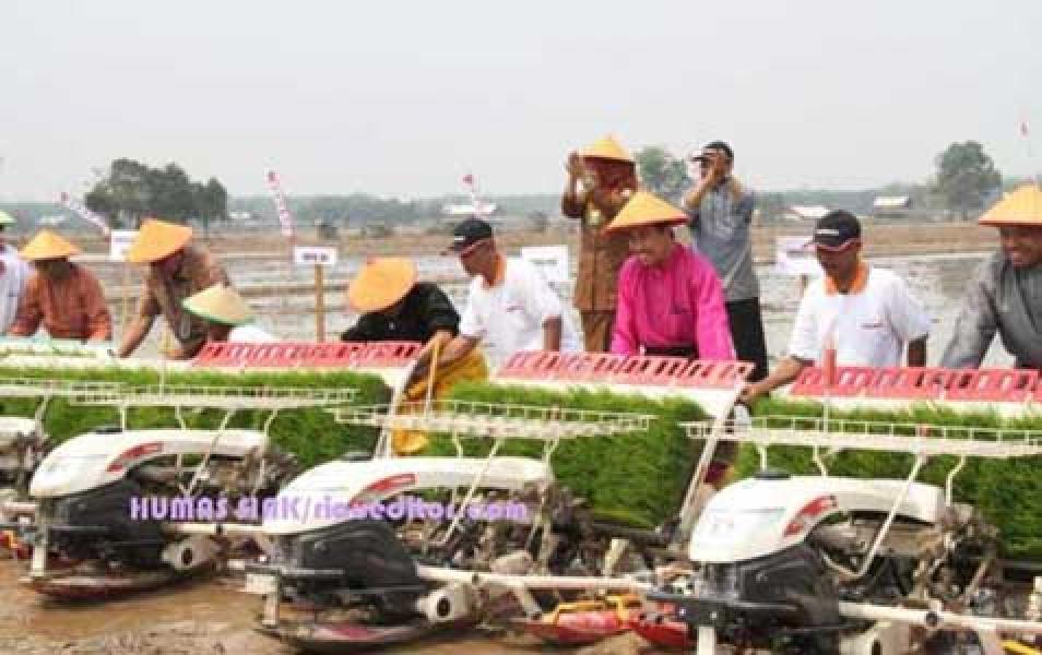 Bupati: Tujuh Prioritas Peningkatan Produksi Padi Siak