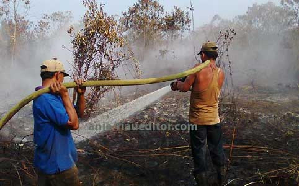 Bupati Jengkel dengan Pelaku Pembakar Lahan  