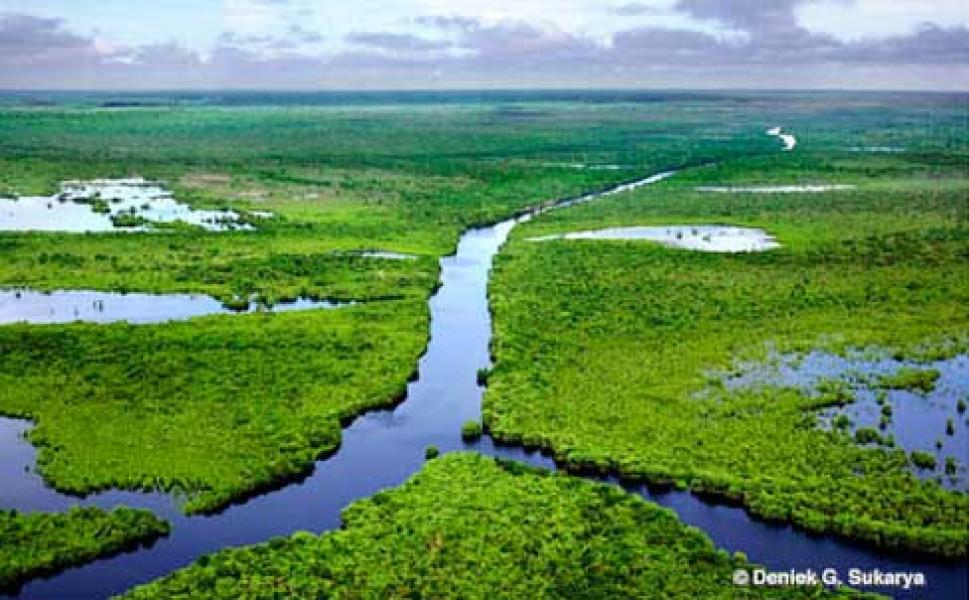 Dari Hutan Suaka Margasatwa ke Cagar Biosfer