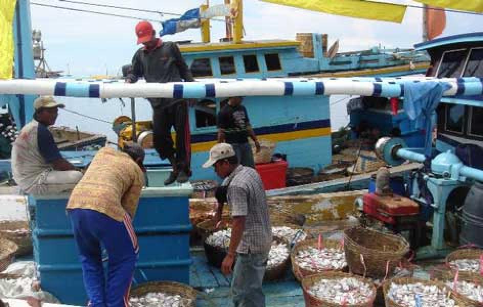 Ikan Semakin Langka, Nelayan Bagan tak Melaut