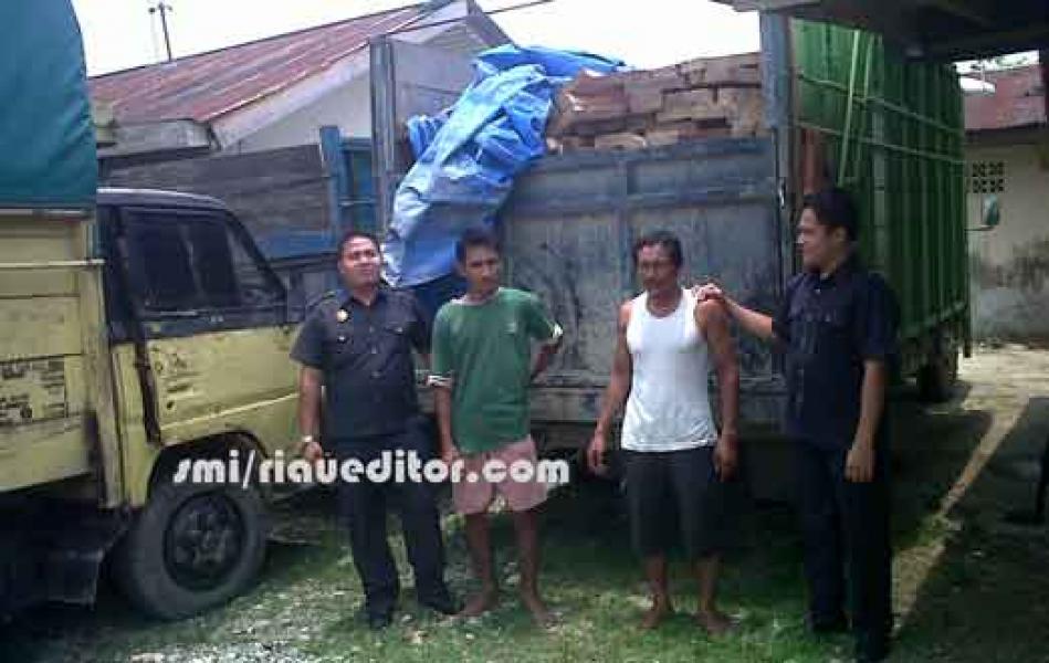Jajaran Polres Kampar Tangkap Dua Truk Kayu Illog