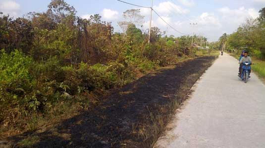 Kebakaran di Desa Mekong Meluas Hingga ke Ruas Jalan