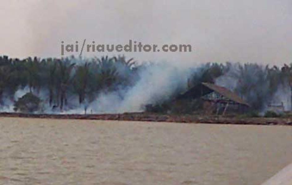 Kebun Sagu Kembali Terbakar di Kecamatan 3T