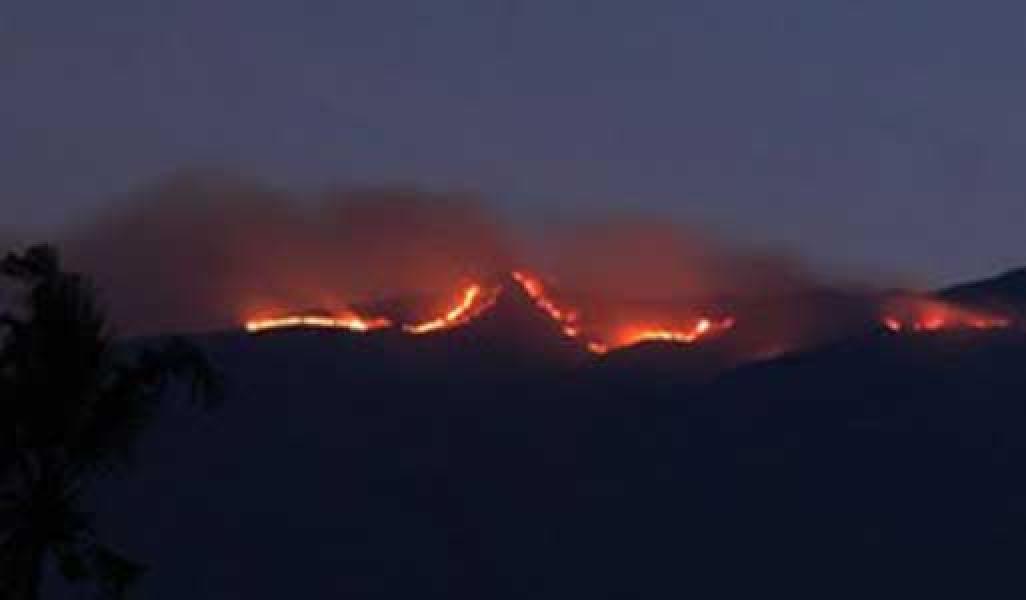 Lebih 500 Hektar Areal HTI RAPP di Teluk Meranti Terbakar