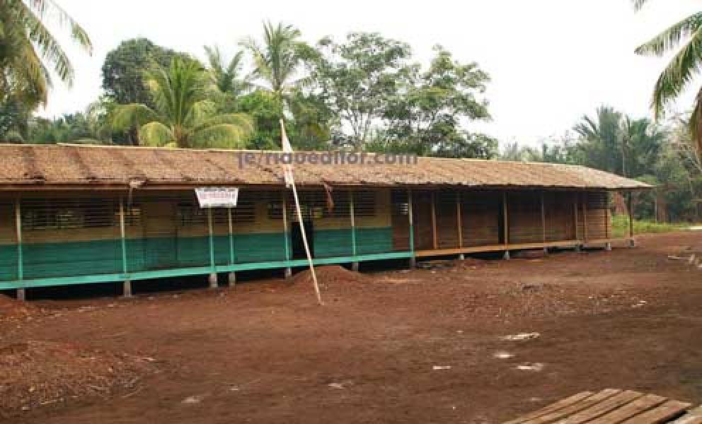 Lokal Jauh SD Negeri 6 Tanjung Peranap Memprihatinkan    
