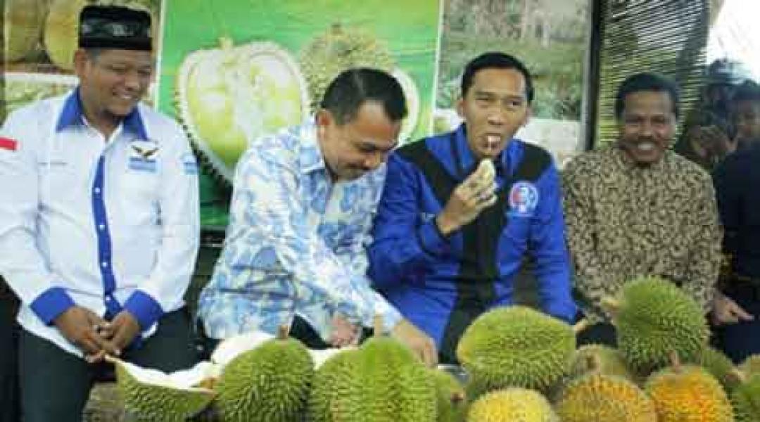 PDIP Jadikan Dapil Ibas Sebagai Pembinaan Khusus