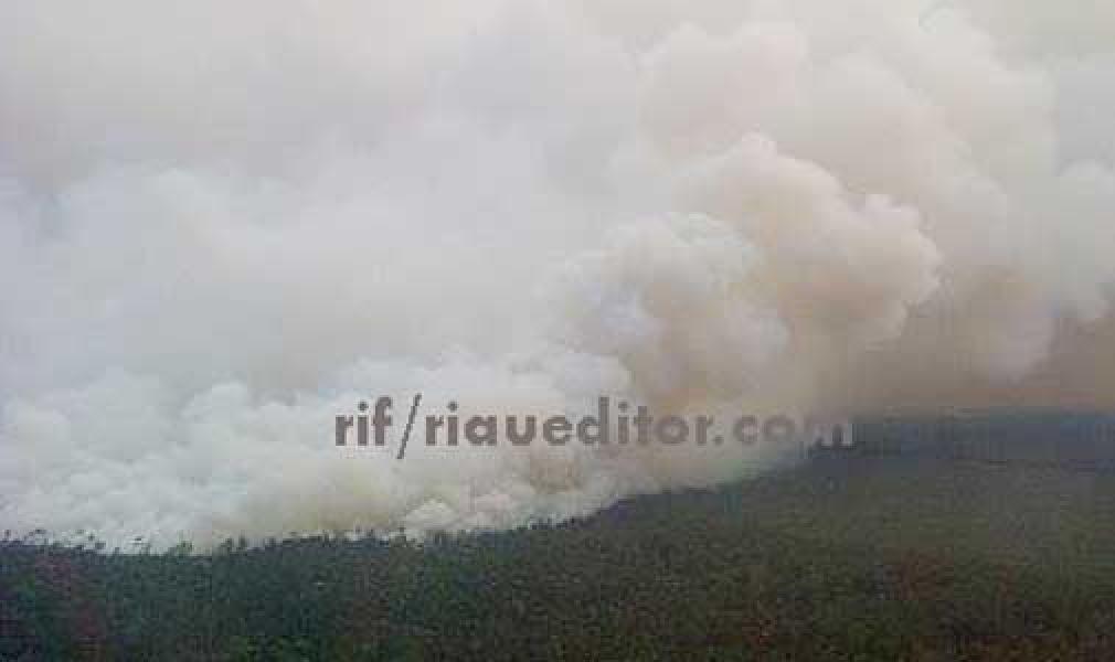 Total Lahan Terbakar di Riau 18 Ribu Hektare
