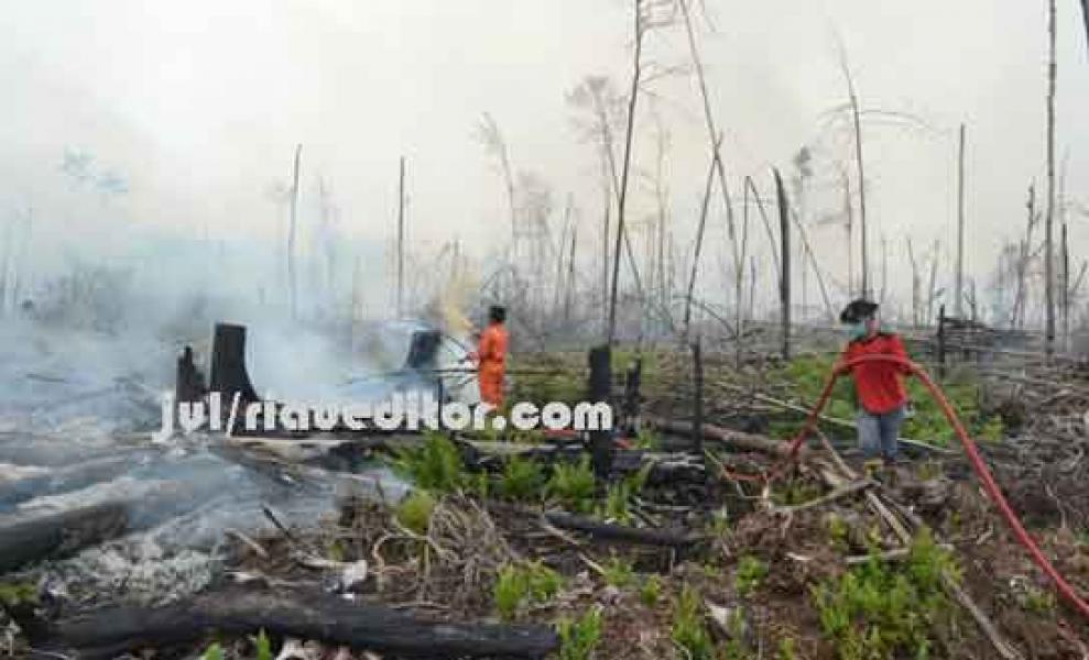 Udara Di Kampar Mulai Tidak Sehat, Dua Titik Api Ditemukan