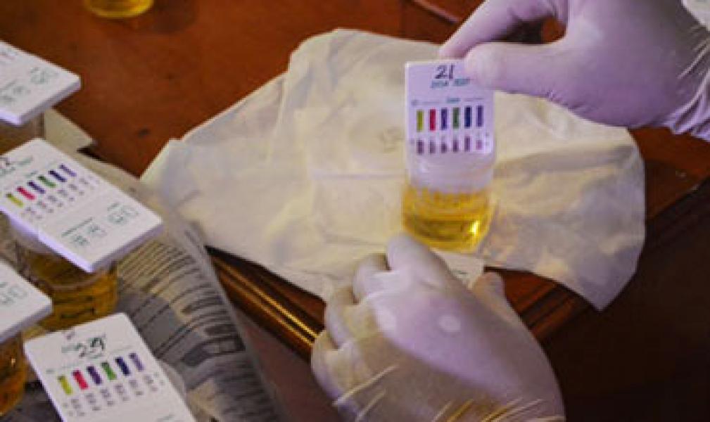 BNN Minta Plt Gubri Siapkan 8000 Alat Test Urin