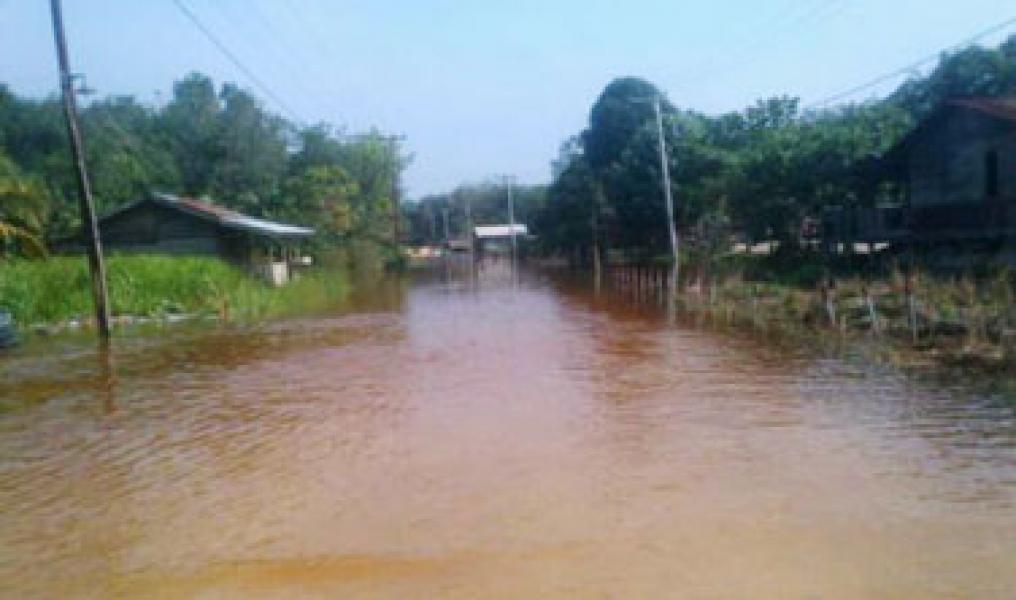 Banjir, Jalan Menuju Desa Lubuk Kembang Bunga Putus Total