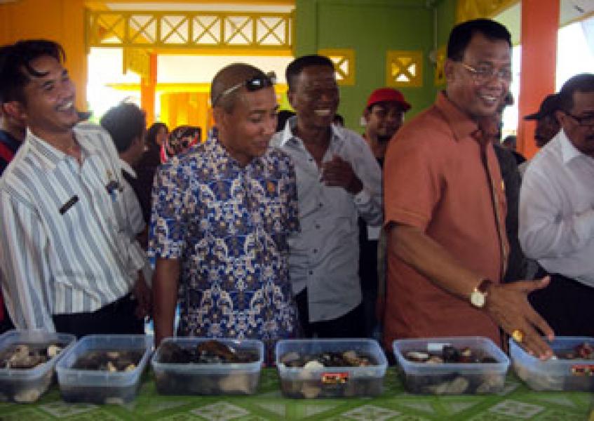 Bupati Rohil Buka Kontes Batu Akik Pulau Jemur Gamestone Fair 2015