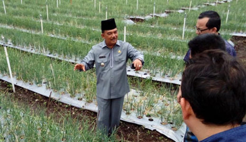 Indonesia Krisis Tenaga Penyuluh, Kampar Inisiatif Cetak Tenaga Swakarsa