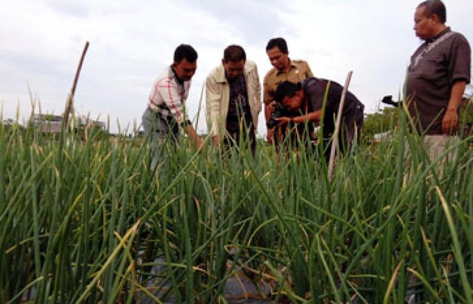 Kampar Menjadi Model Pertanian Nasional