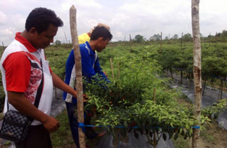 Kampar Tuan Rumah Penyelenggaraan Rakornas Perhiptani