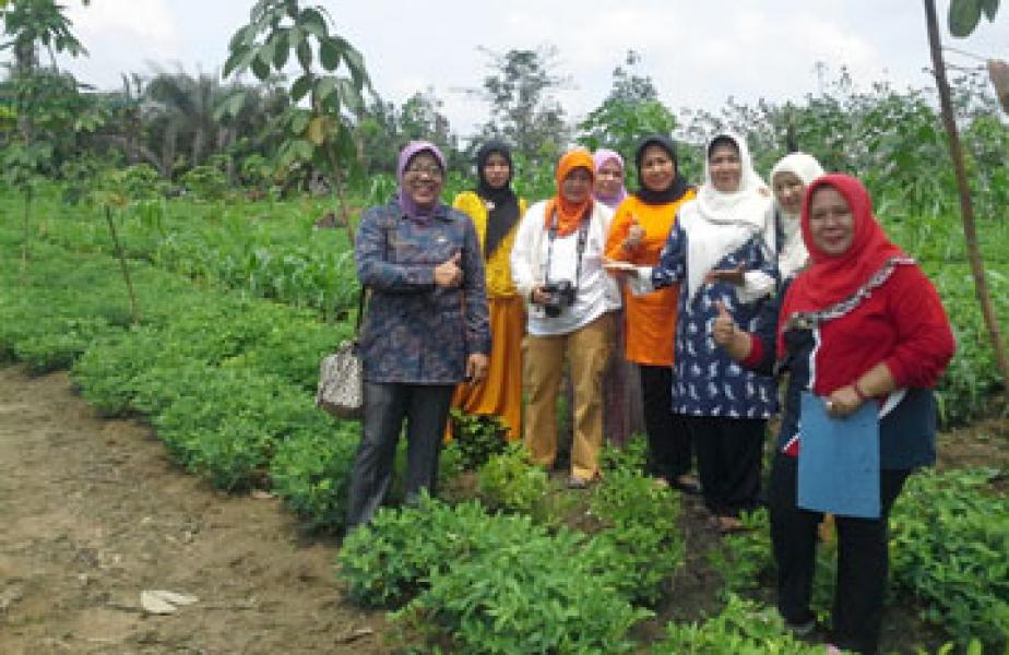 Kebun PKK Kampar Berulang Kali Berhasil Panen