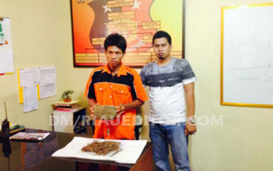 Pedagang Makanan di Dermaga I Danau Buatan Ditangkap Jual Ganja