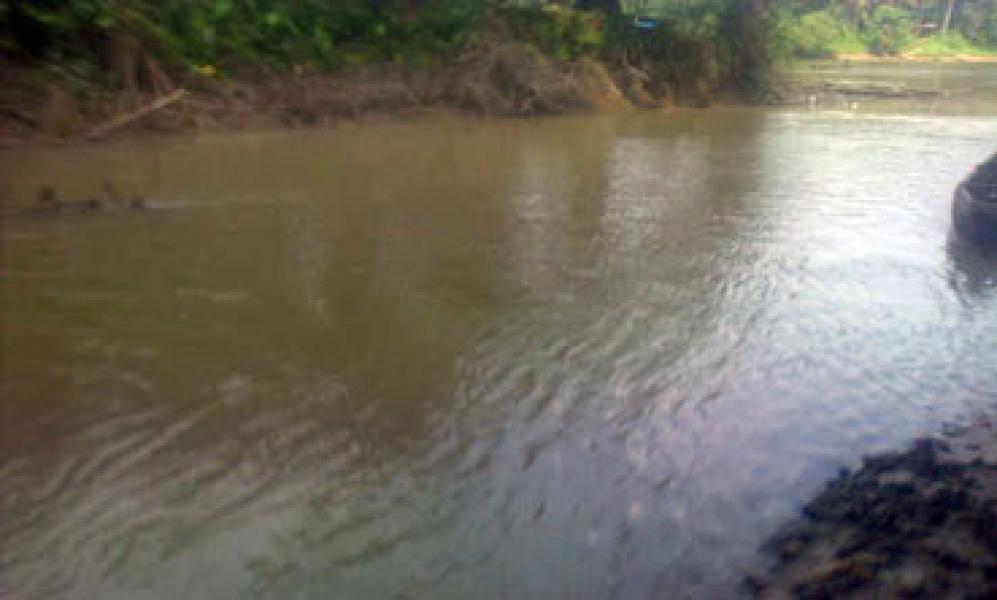 Pencemaran Sungai Tibun, Warga Akan Lapor ke BLH Riau