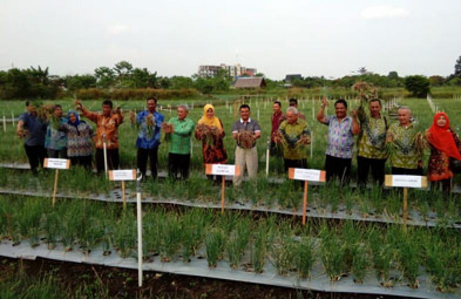 Setiap Tahun Pemerintah Pusat Sedot Devisa Riau Rp600 Triliun