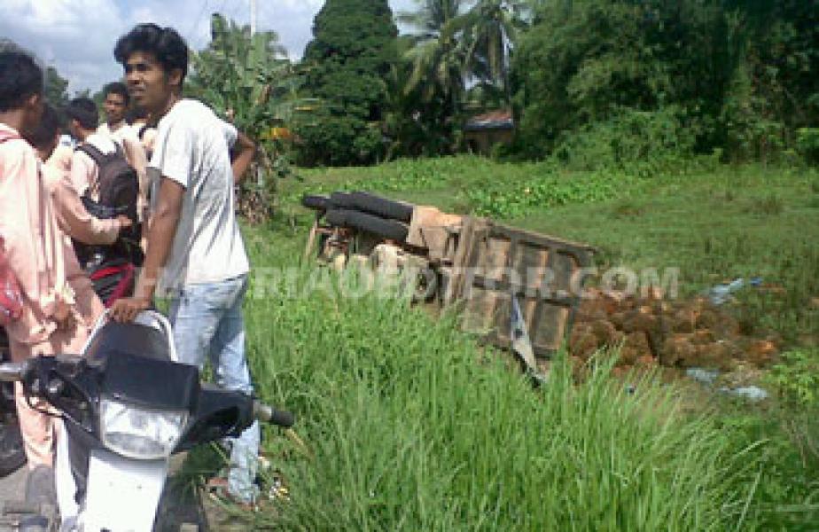 Truk Fuso Terjun ke Sawah di KM 45 Desa Rumbio