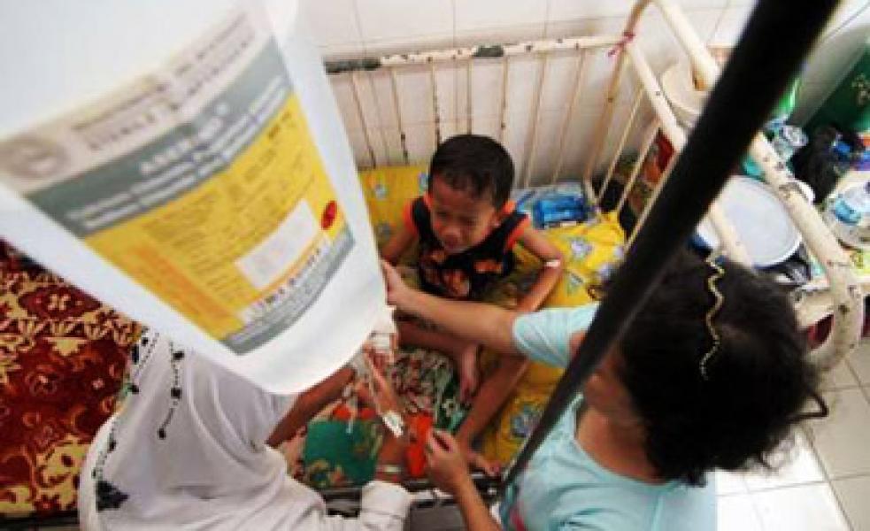 38 Korban DBD di Pelalawan Sudah Pulih