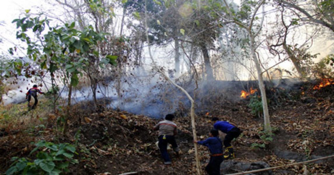 BMKG Deteksi 29 Titik Panas di Riau