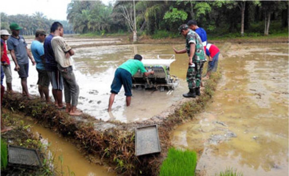 Babinsa Koramil 02 Rambah Apresiasi Petani Rambah Hilir