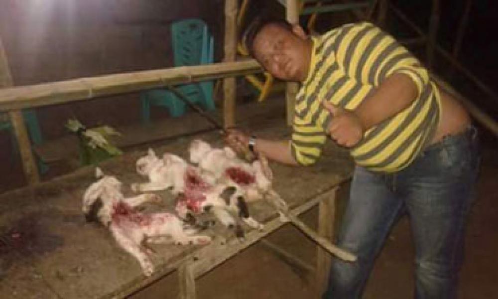 Bunuh Tiga Kucing, Dua Pria Dihujat Netizen