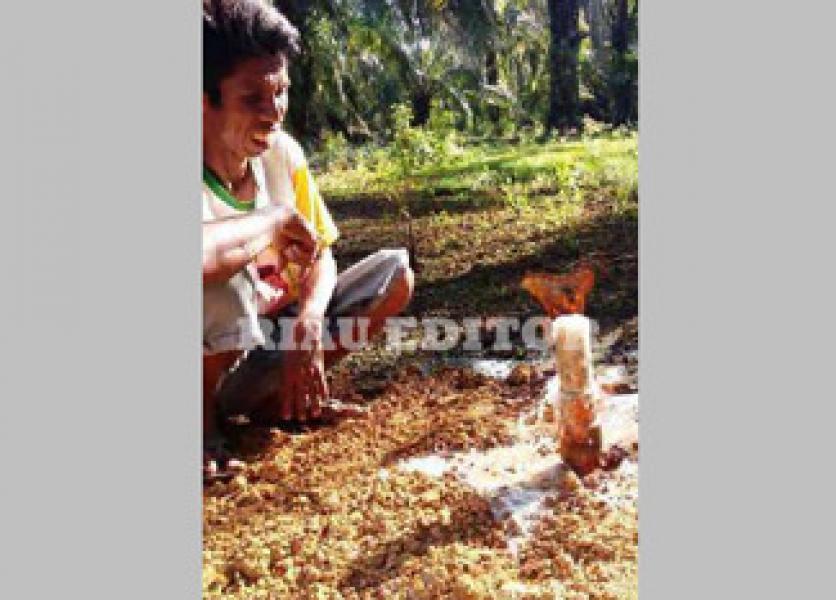 Gali Sumur, Warga Rohil Temukan Semburan Gas