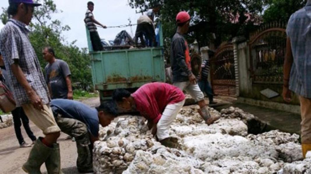 Harga Karet di Inhu Hanya Cukup untuk Seperempat Kilo Beras