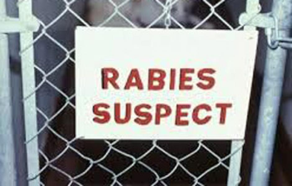 Identik Rabies, Warga Flores Dirawat Intensif di UGD RSUD Indrasari Rengat