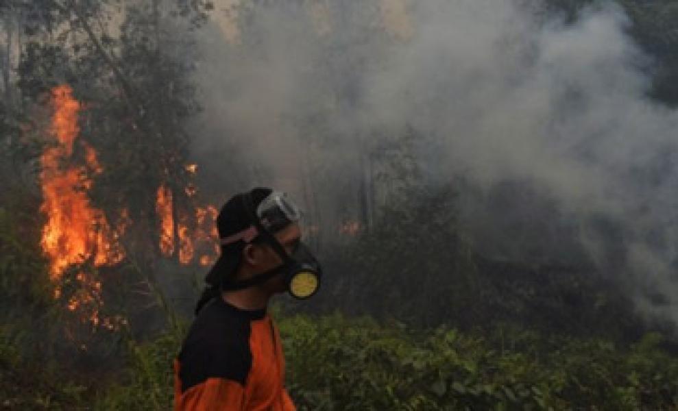 Meningkat, 38 Titik Api Terpantau di Riau
