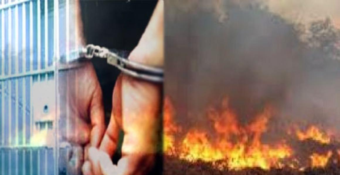 Pelaku Pembakaran Lahan di Kecamatan Pelalawan Diringkus Polisi