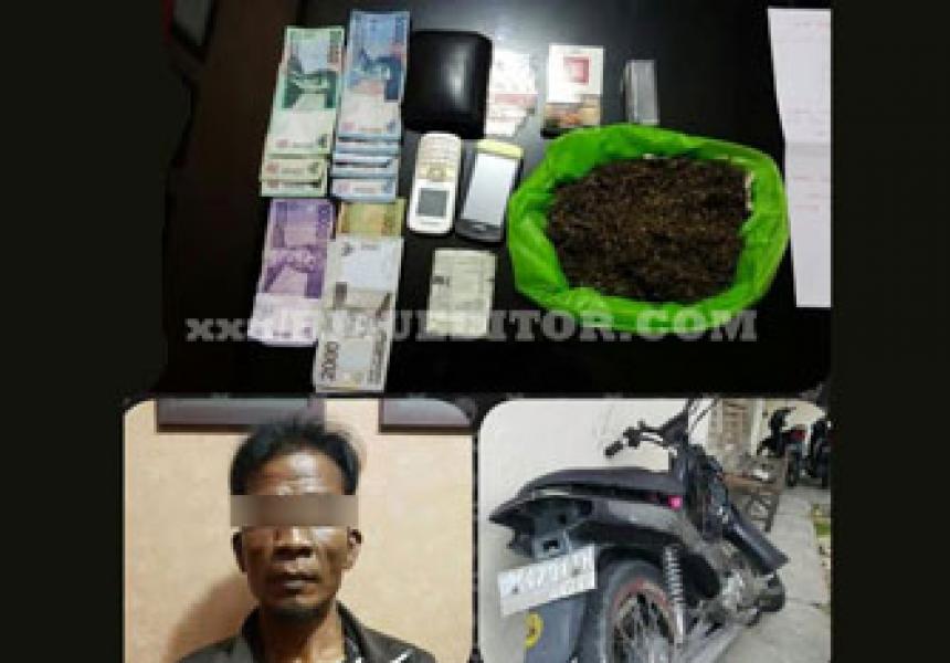 Polsek Limapuluh Bekuk Pria Pengangguran Pengedar Ganja