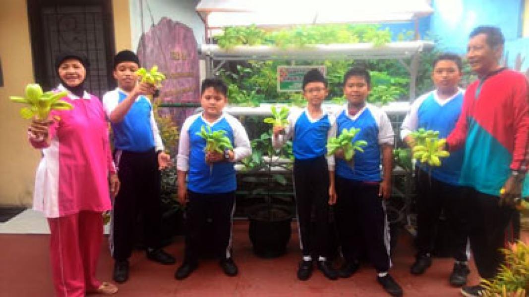 SDN 26 Pekanbaru Panen Tanaman Hidroponik
