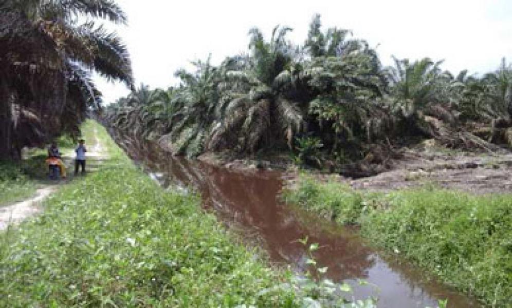 Sungai Buluh Hilang Ditimbun PT Adei, AMPKP Khawatirkan Pemkab Tak Komit