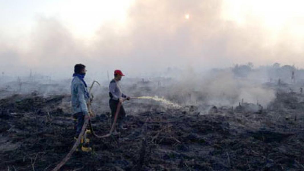 Tim Berjibaku Padamkan Karlahut Hingga Senja di Labuhan Tangga Besar