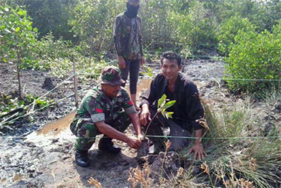 Babinsa Bersama Mahasiswa Politeknik Negeri Bengkalis Tanam Pohon Mangrove