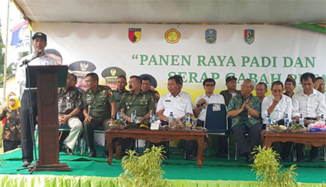 Mentan RI: Pemerintah Bantu Petani Kendalikan Harga Gabah