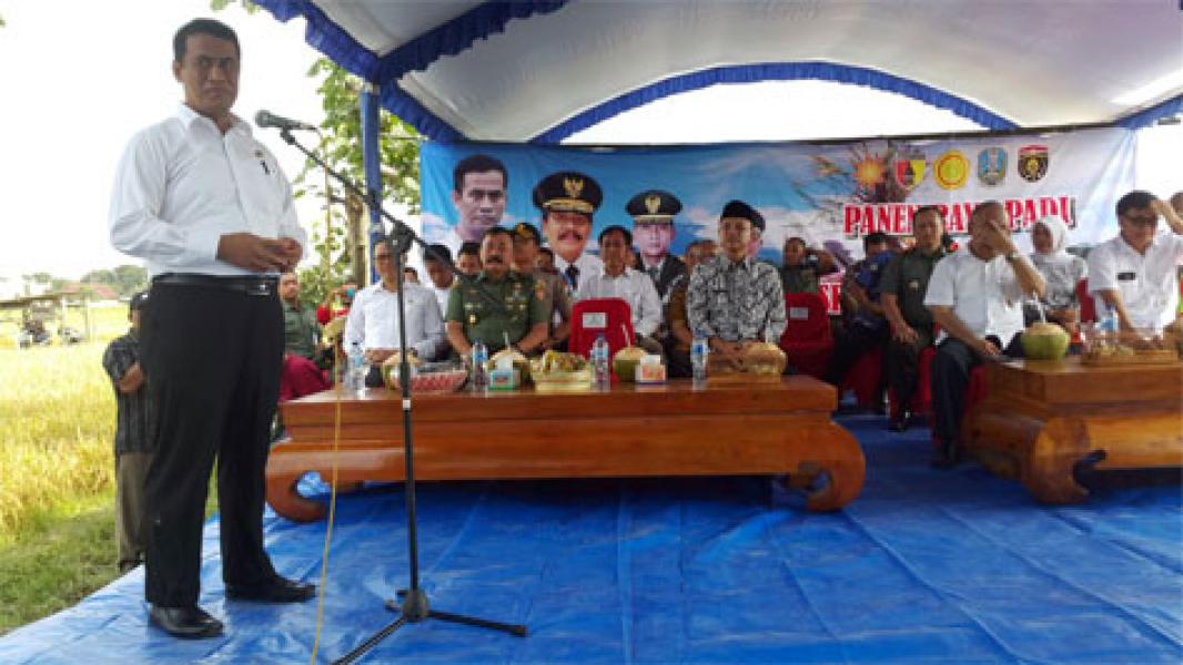 Mentan RI Harapkan Percepatan Serap Gabah Petani Sesuai HPP  