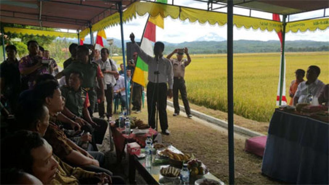 Mentan RI Terjun Langsung ke Lapangan Kendalikan Harga Gabah Petani
