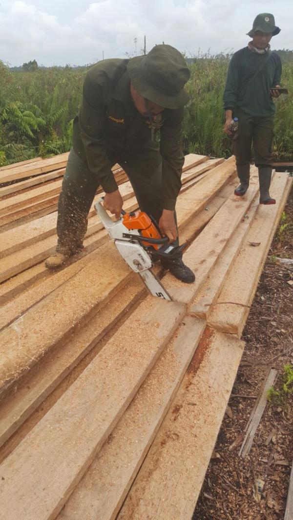 Polres Bengkalis Kembangkan Tersangka Ilog di Cagar Biosfer Giam Siak Kecil-Bukit Batu