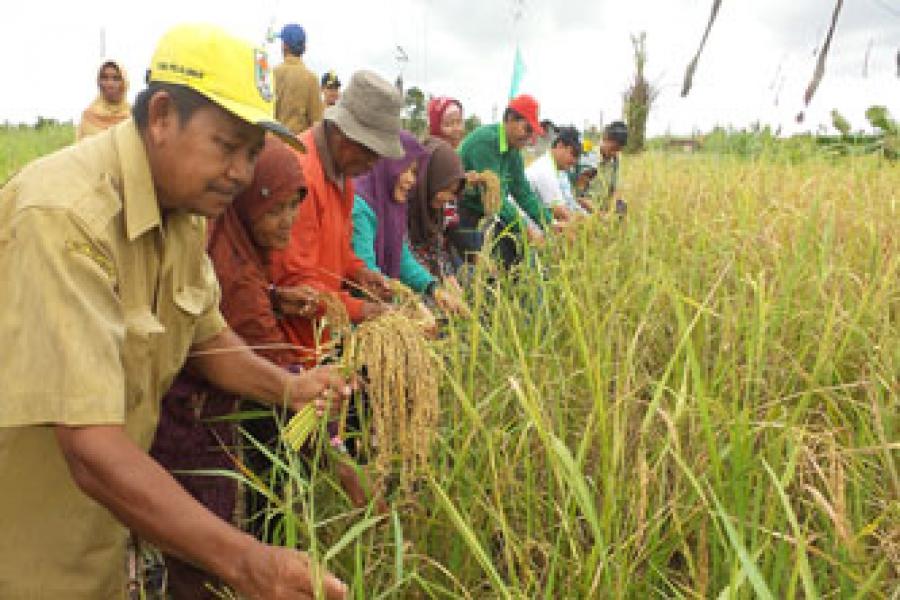 Program Desa Bebas Api Efektif Cegah Kebakaran